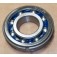 Bearing w/ Snap Ring